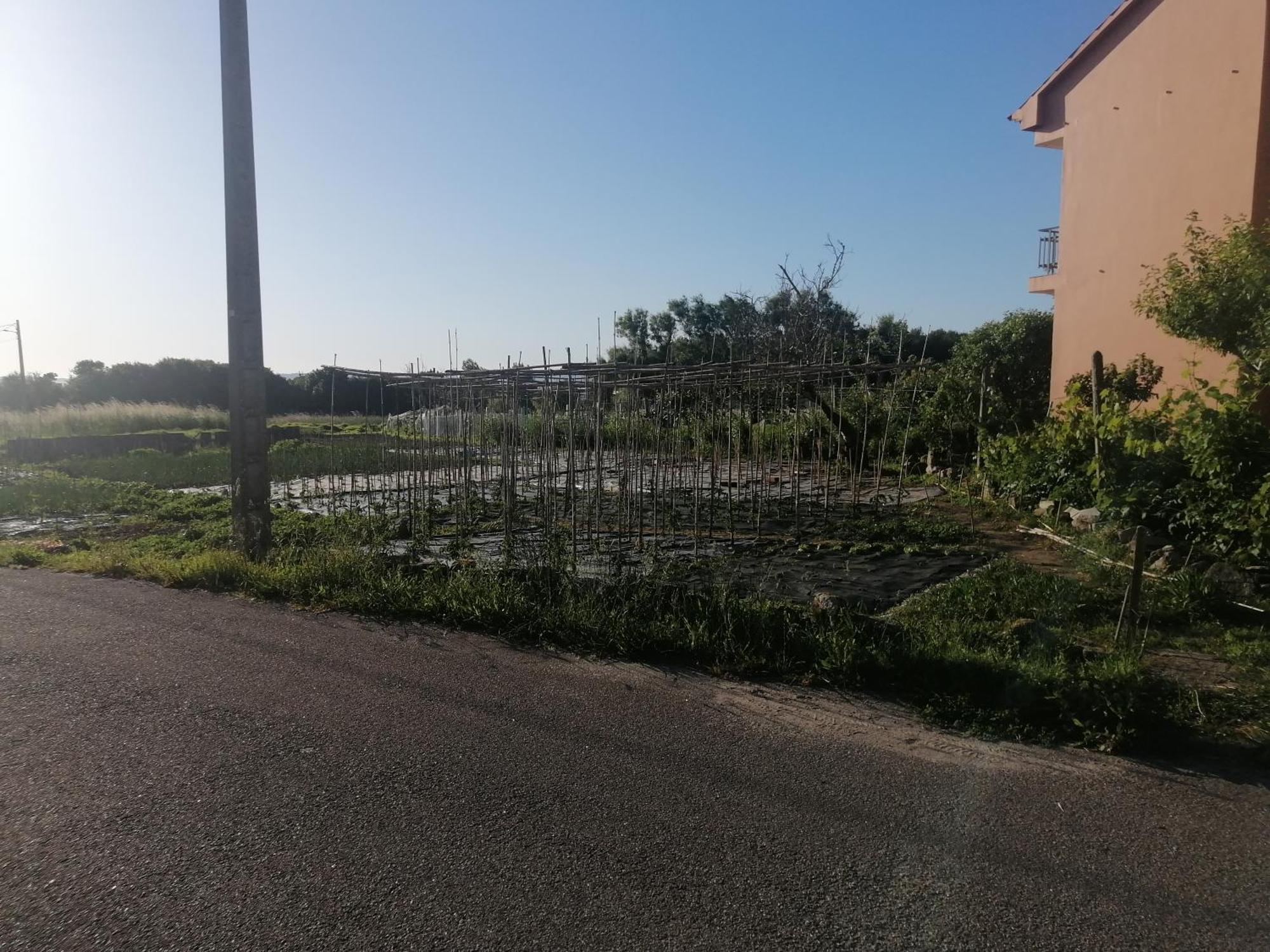 Casa Reboredo Pontevedra Esterno foto