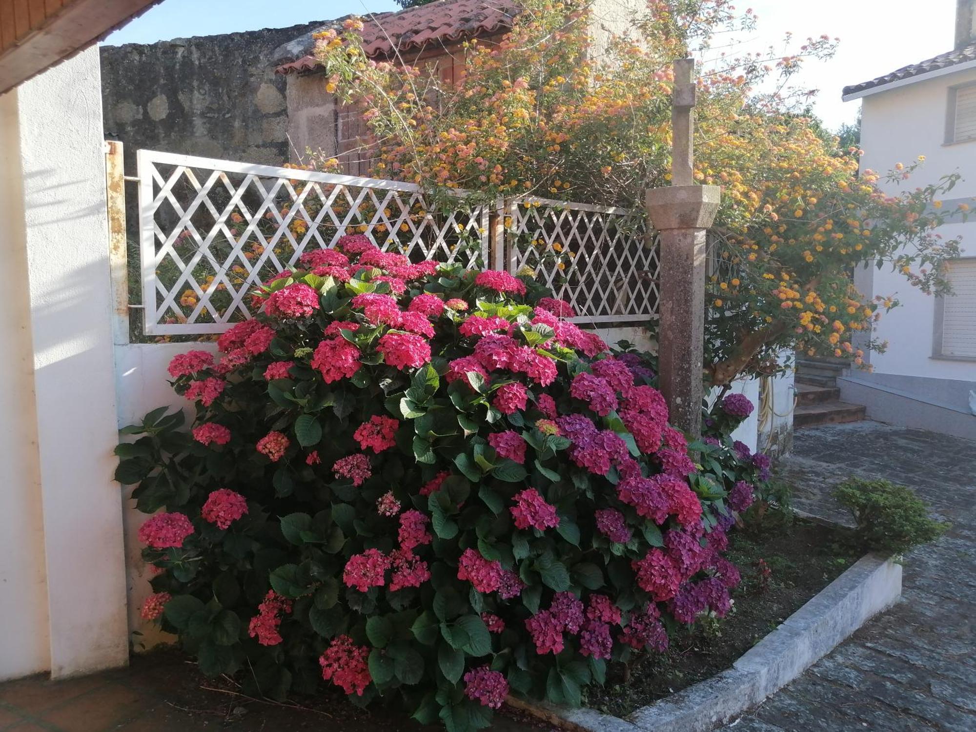 Casa Reboredo Pontevedra Esterno foto